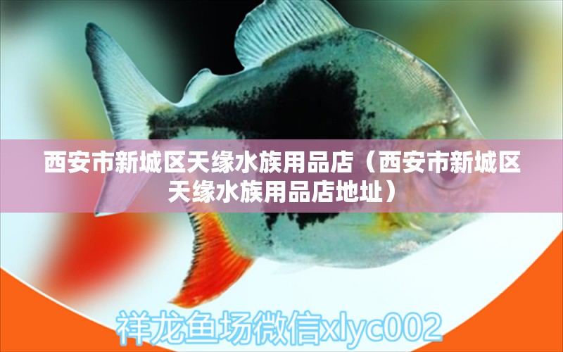 西安市新城區(qū)天緣水族用品店（西安市新城區(qū)天緣水族用品店地址）