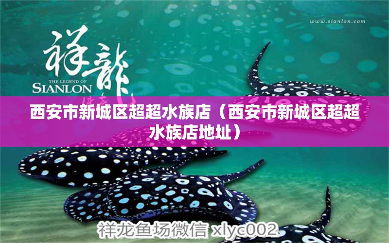 西安市新城區(qū)超超水族店（西安市新城區(qū)超超水族店地址）