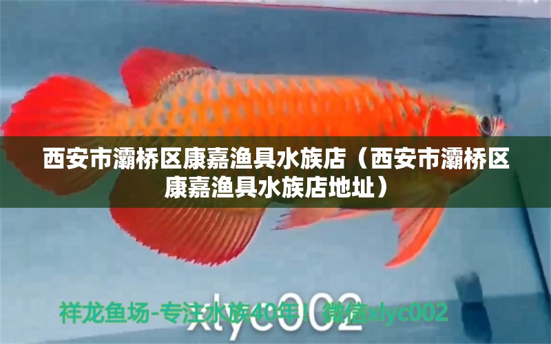 西安市灞橋區(qū)康嘉漁具水族店（西安市灞橋區(qū)康嘉漁具水族店地址）