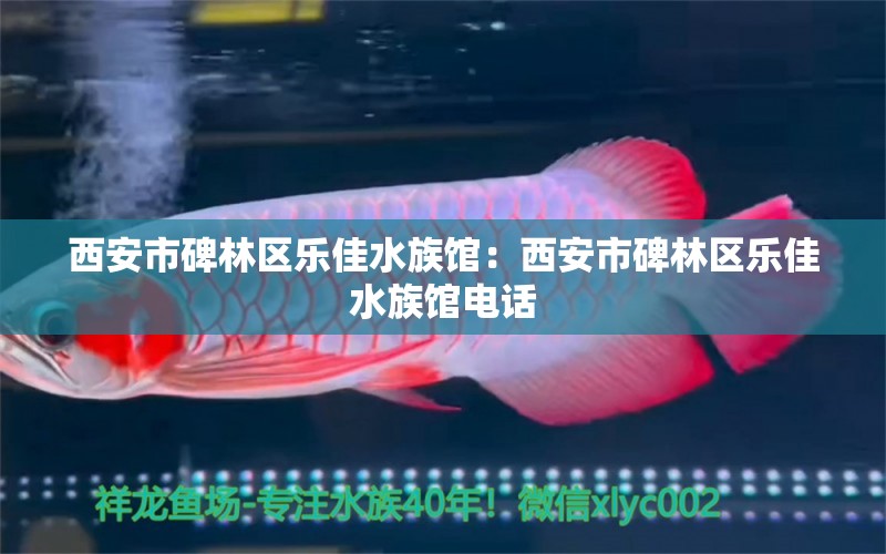 西安市碑林區(qū)樂佳水族館：西安市碑林區(qū)樂佳水族館電話