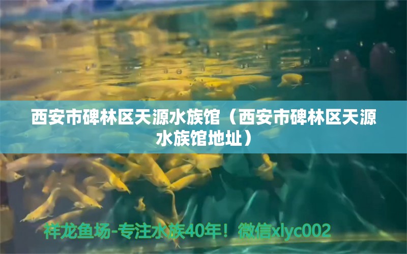 西安市碑林區(qū)天源水族館（西安市碑林區(qū)天源水族館地址） 全國水族館企業(yè)名錄