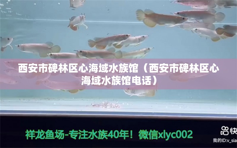 西安市碑林區(qū)心海域水族館（西安市碑林區(qū)心海域水族館電話）