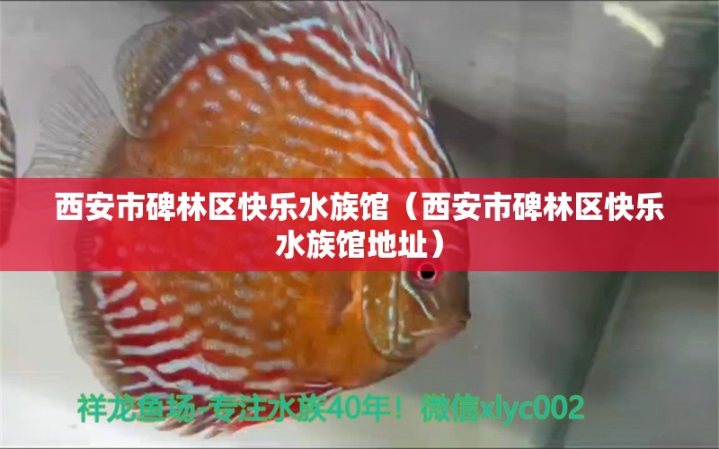 西安市碑林區(qū)快樂水族館（西安市碑林區(qū)快樂水族館地址） 全國水族館企業(yè)名錄