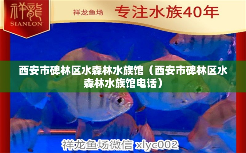 西安市碑林區(qū)水森林水族館（西安市碑林區(qū)水森林水族館電話） 全國水族館企業(yè)名錄