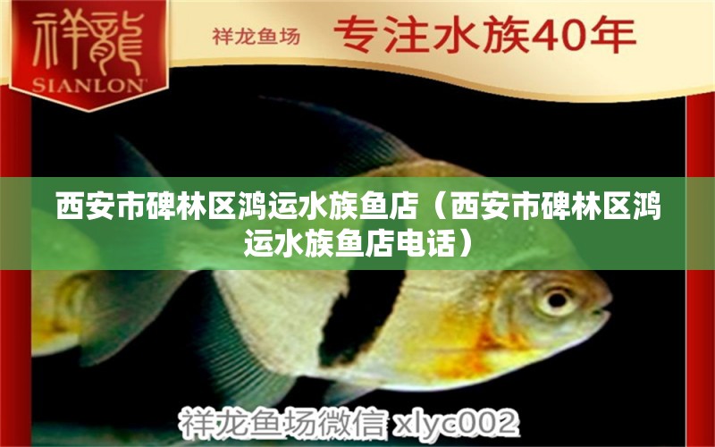 西安市碑林區(qū)鴻運水族魚店（西安市碑林區(qū)鴻運水族魚店電話） 全國水族館企業(yè)名錄