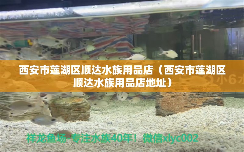 西安市蓮湖區(qū)順達(dá)水族用品店（西安市蓮湖區(qū)順達(dá)水族用品店地址） 水族用品