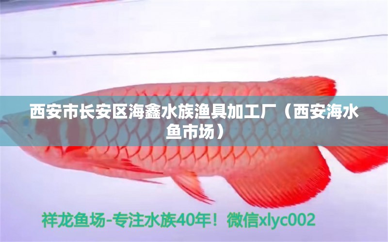 西安市長安區(qū)海鑫水族漁具加工廠（西安海水魚市場）