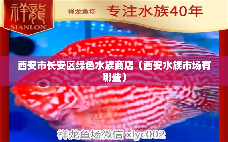 西安市長安區(qū)綠色水族商店（西安水族市場有哪些）