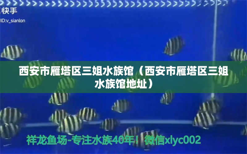 西安市雁塔區(qū)三姐水族館（西安市雁塔區(qū)三姐水族館地址）