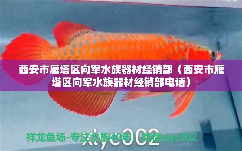 西安市雁塔區(qū)向軍水族器材經(jīng)銷部（西安市雁塔區(qū)向軍水族器材經(jīng)銷部電話）