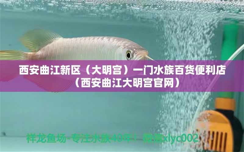 西安曲江新區(qū)（大明宮）一門(mén)水族百貨便利店（西安曲江大明宮官網(wǎng)） 全國(guó)水族館企業(yè)名錄