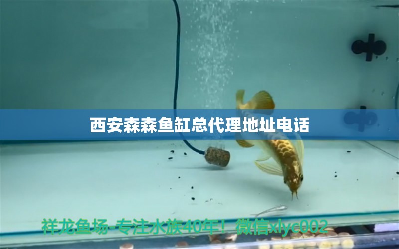 西安森森魚缸總代理地址電話