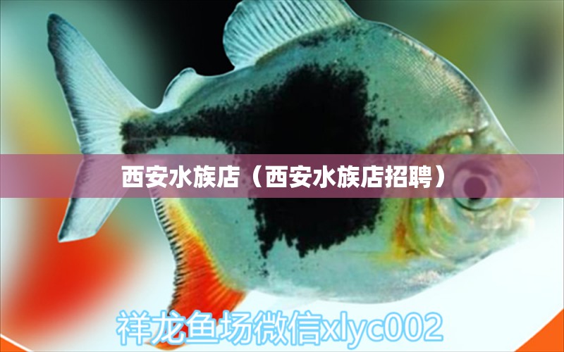 西安水族店（西安水族店招聘）