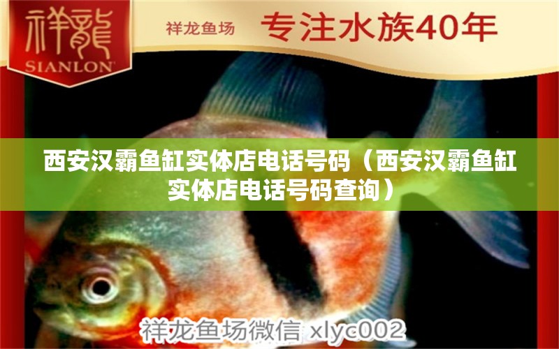 西安漢霸魚缸實體店電話號碼（西安漢霸魚缸實體店電話號碼查詢） 斯維尼關(guān)刀魚