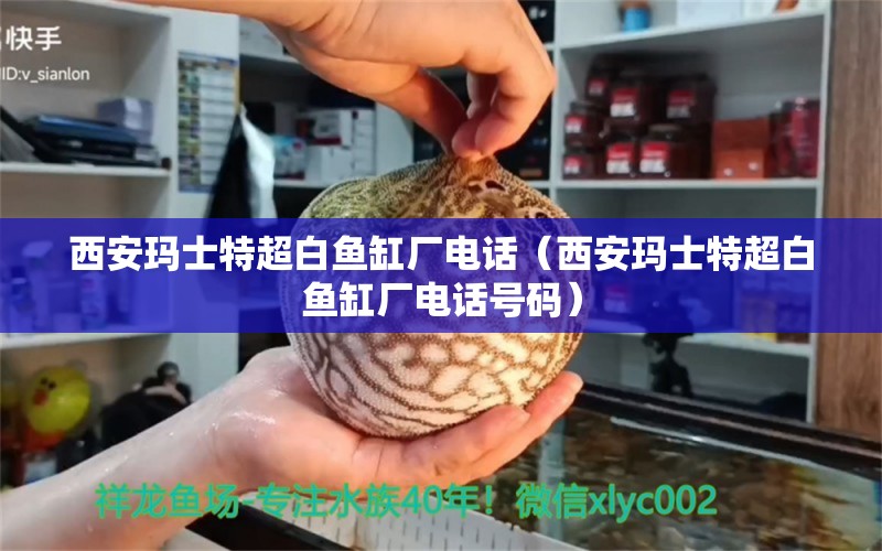 西安瑪士特超白魚缸廠電話（西安瑪士特超白魚缸廠電話號碼）