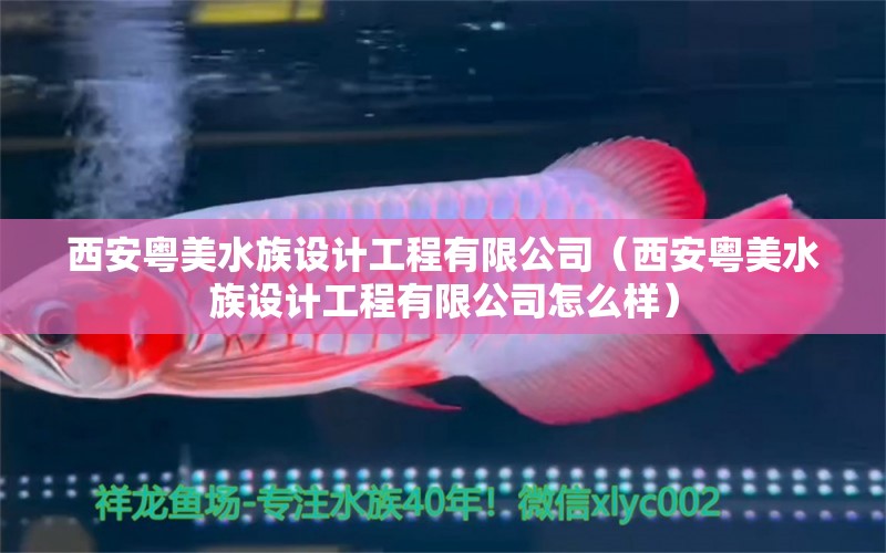 西安粵美水族設(shè)計工程有限公司（西安粵美水族設(shè)計工程有限公司怎么樣）