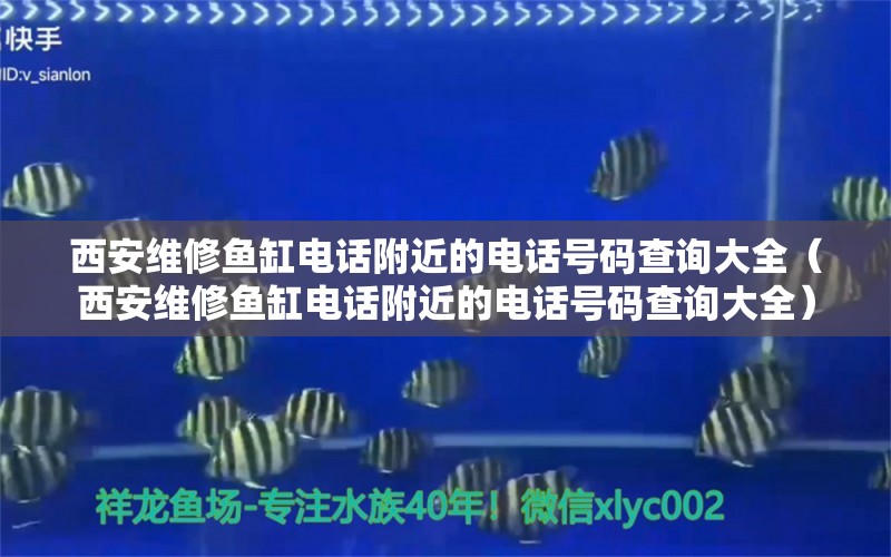 西安維修魚缸電話附近的電話號碼查詢大全（西安維修魚缸電話附近的電話號碼查詢大全） 觀賞魚市場（混養(yǎng)魚）