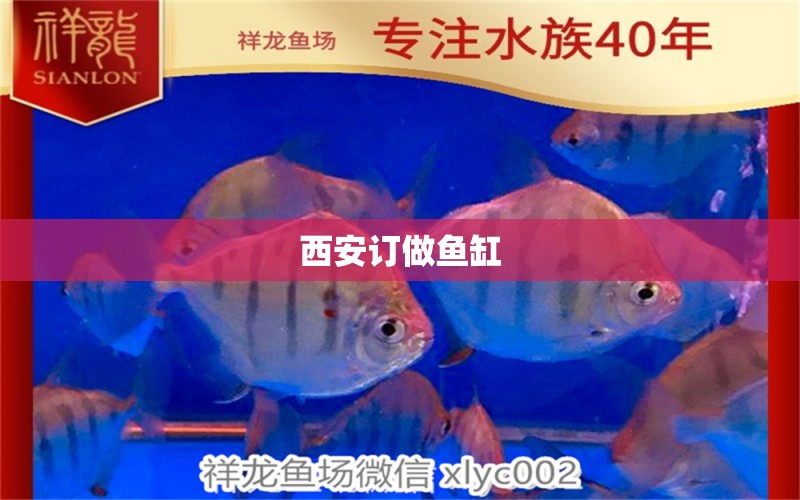 西安訂做魚缸