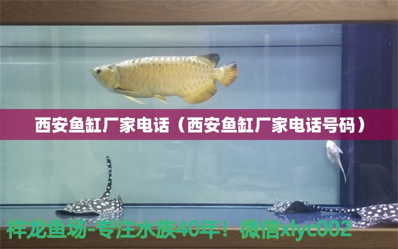 西安魚(yú)缸廠家電話（西安魚(yú)缸廠家電話號(hào)碼）