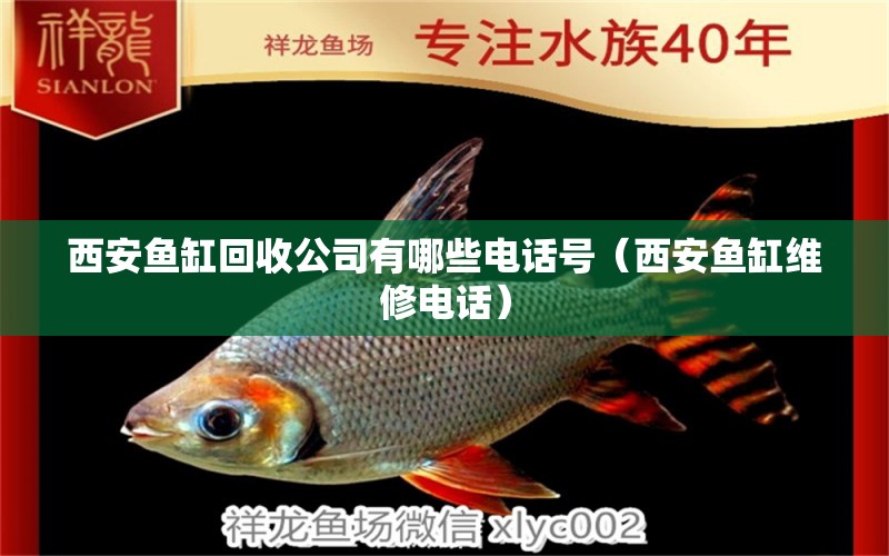 西安魚(yú)缸回收公司有哪些電話號(hào)（西安魚(yú)缸維修電話）