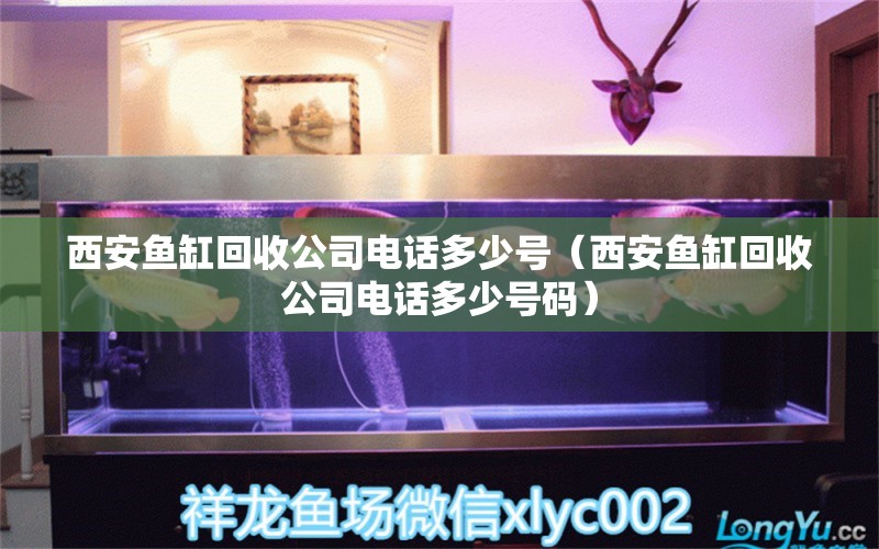 西安魚缸回收公司電話多少號(hào)（西安魚缸回收公司電話多少號(hào)碼）