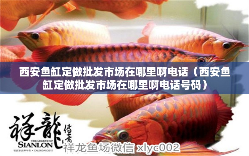 西安魚缸定做批發(fā)市場在哪里啊電話（西安魚缸定做批發(fā)市場在哪里啊電話號碼） 三間鼠魚