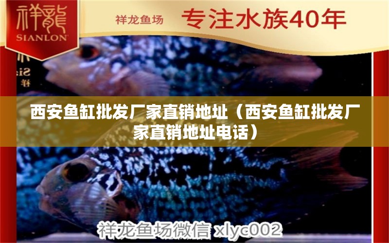 西安魚缸批發(fā)廠家直銷地址（西安魚缸批發(fā)廠家直銷地址電話）