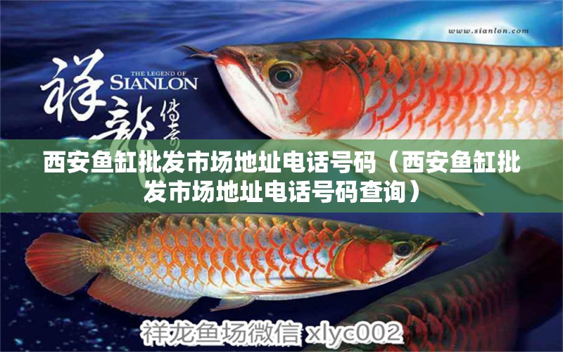 西安魚(yú)缸批發(fā)市場(chǎng)地址電話號(hào)碼（西安魚(yú)缸批發(fā)市場(chǎng)地址電話號(hào)碼查詢）