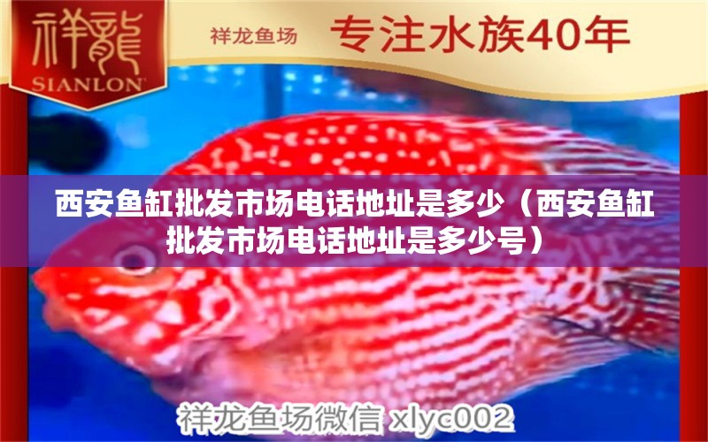 西安魚缸批發(fā)市場電話地址是多少（西安魚缸批發(fā)市場電話地址是多少號）