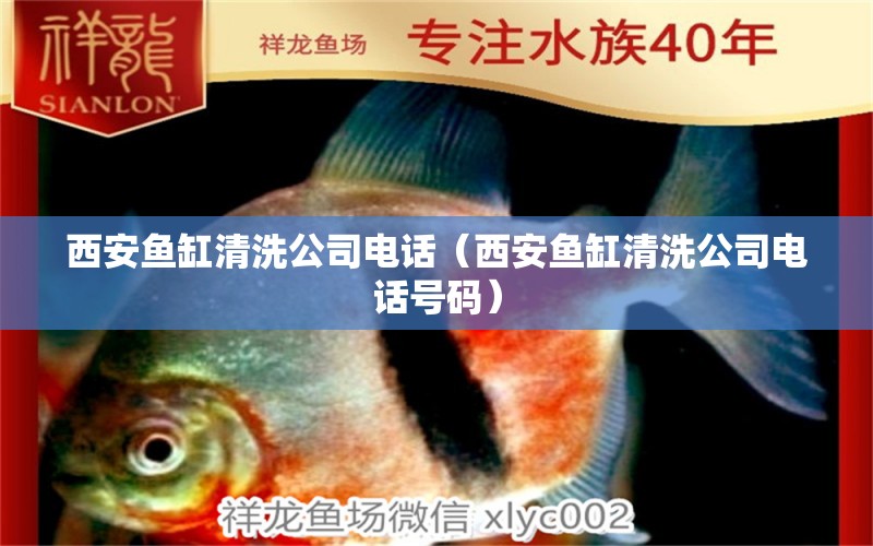 西安魚缸清洗公司電話（西安魚缸清洗公司電話號碼）