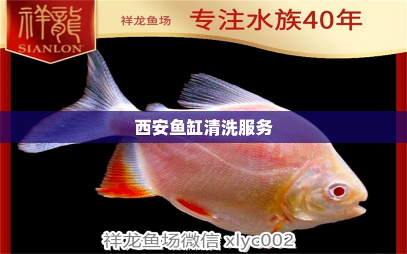 西安魚缸清洗服務(wù)