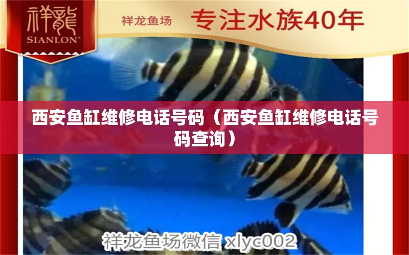 西安魚缸維修電話號碼（西安魚缸維修電話號碼查詢）