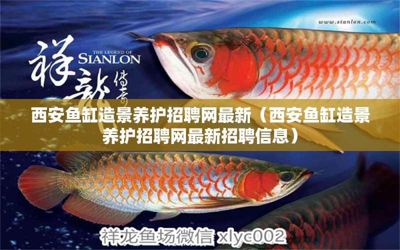 西安魚缸造景養(yǎng)護招聘網(wǎng)最新（西安魚缸造景養(yǎng)護招聘網(wǎng)最新招聘信息） 大湖紅龍魚