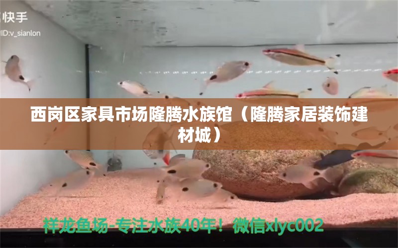 西崗區(qū)家具市場隆騰水族館（隆騰家居裝飾建材城）