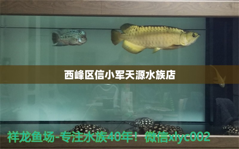 西峰區(qū)信小軍天源水族店