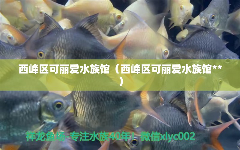 西峰區(qū)可麗愛(ài)水族館（西峰區(qū)可麗愛(ài)水族館**） 全國(guó)水族館企業(yè)名錄