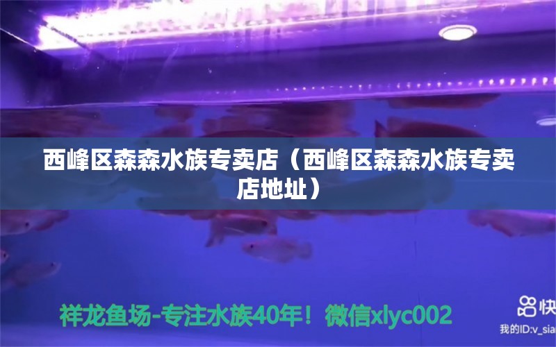 西峰區(qū)森森水族專(zhuān)賣(mài)店（西峰區(qū)森森水族專(zhuān)賣(mài)店地址）