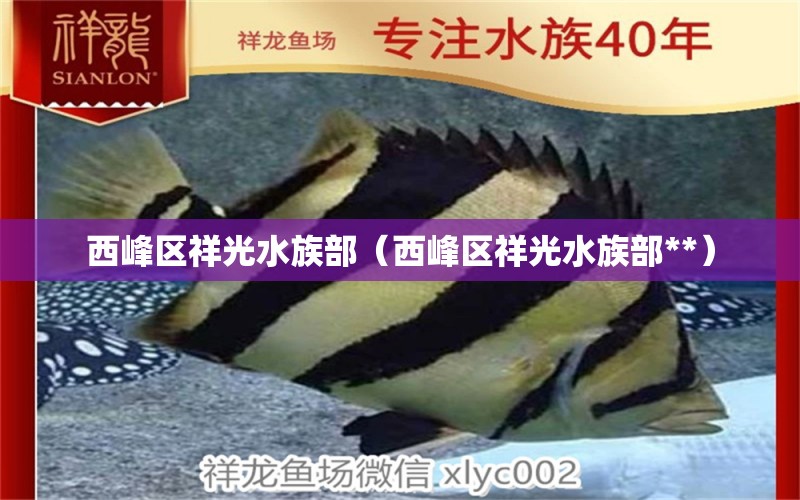 西峰區(qū)祥光水族部（西峰區(qū)祥光水族部**）