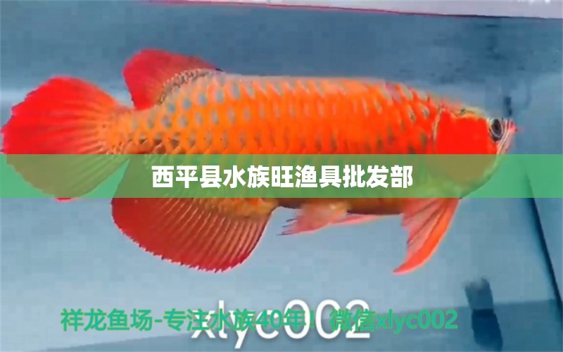 西平縣水族旺漁具批發(fā)部