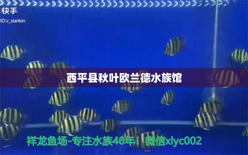 西平縣秋葉歐蘭德水族館