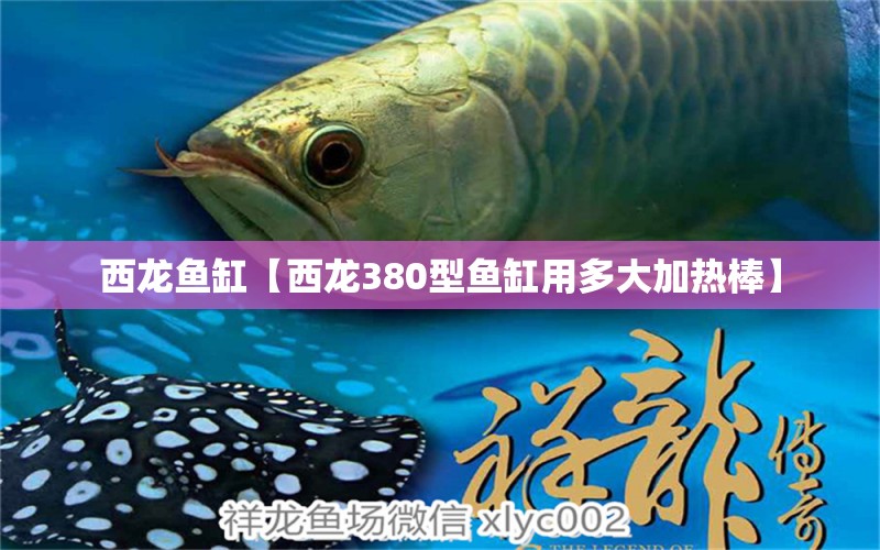 西龍魚缸【西龍380型魚缸用多大加熱棒】