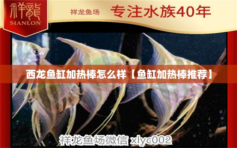 西龍魚缸加熱棒怎么樣【魚缸加熱棒推薦】