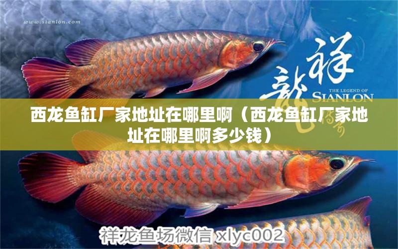 西龍魚(yú)缸廠家地址在哪里啊（西龍魚(yú)缸廠家地址在哪里啊多少錢(qián)） 愛(ài)龍仕