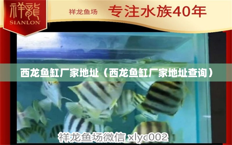 西龍魚缸廠家地址（西龍魚缸廠家地址查詢）