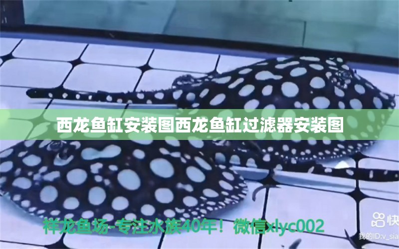 西龍魚缸安裝圖西龍魚缸過濾器安裝圖