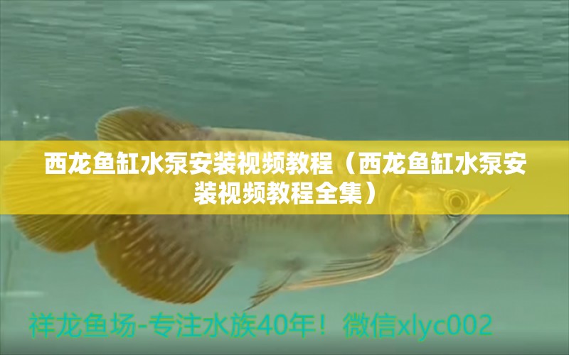 西龍魚(yú)缸水泵安裝視頻教程（西龍魚(yú)缸水泵安裝視頻教程全集） 魚(yú)缸水泵