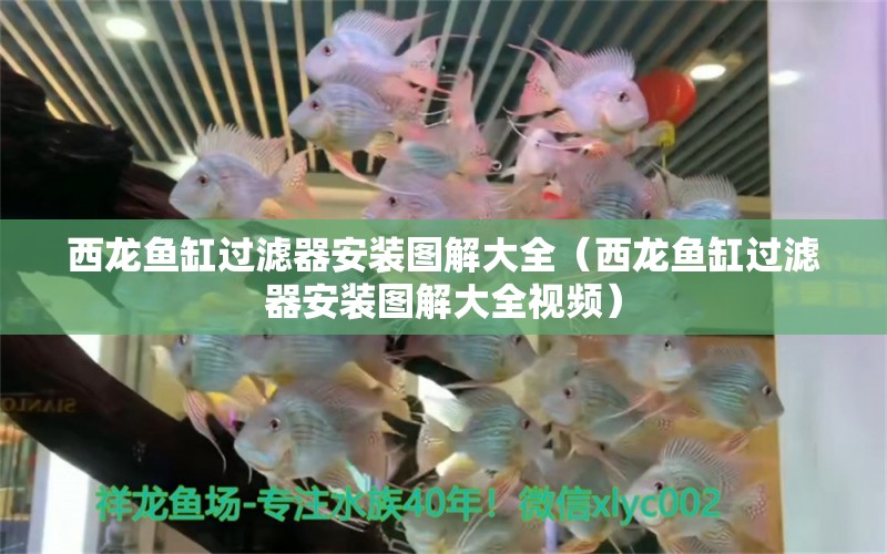 西龍魚(yú)缸過(guò)濾器安裝圖解大全（西龍魚(yú)缸過(guò)濾器安裝圖解大全視頻） 九鼎魚(yú)缸