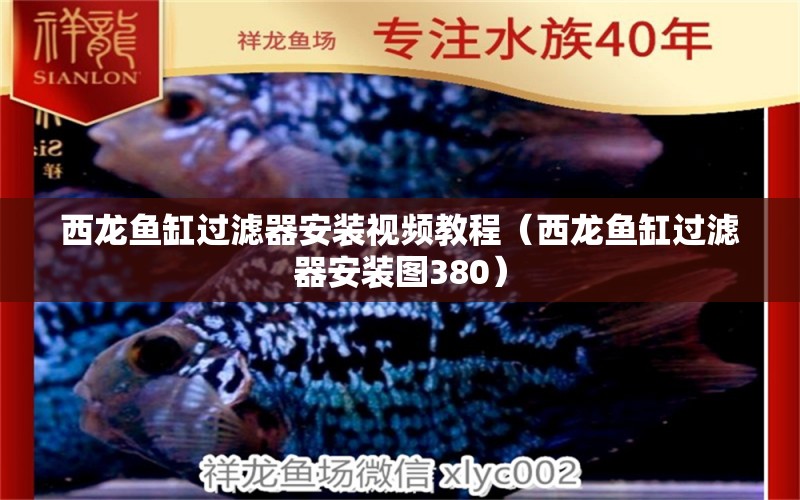 西龍魚缸過濾器安裝視頻教程（西龍魚缸過濾器安裝圖380）