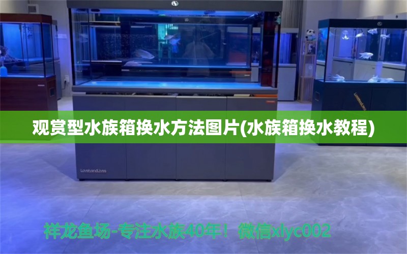 觀賞型水族箱換水方法圖片(水族箱換水教程)