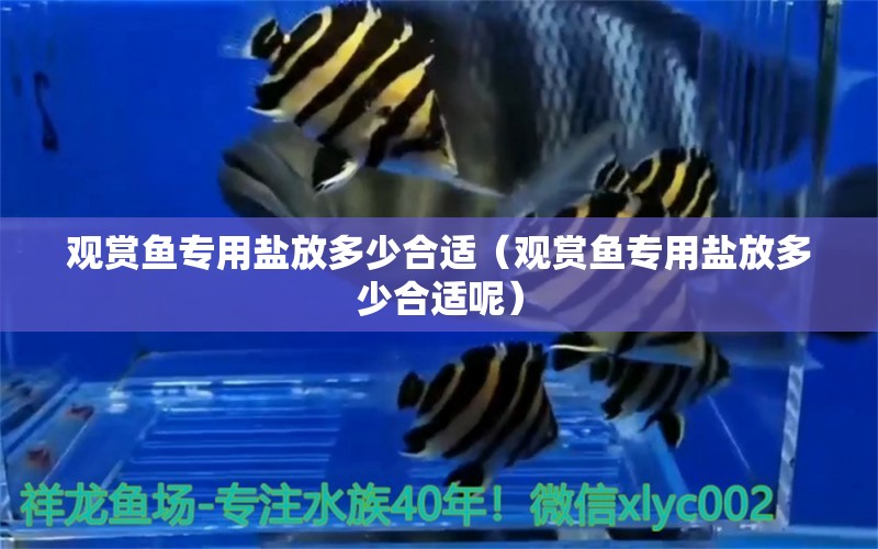 觀賞魚專用鹽放多少合適（觀賞魚專用鹽放多少合適呢）